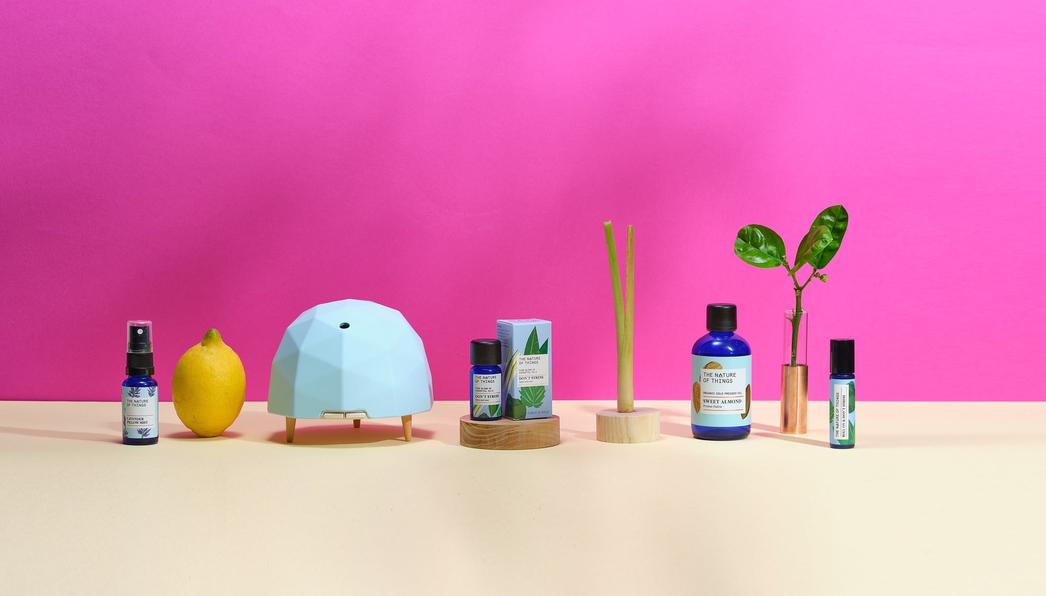 The nature of things