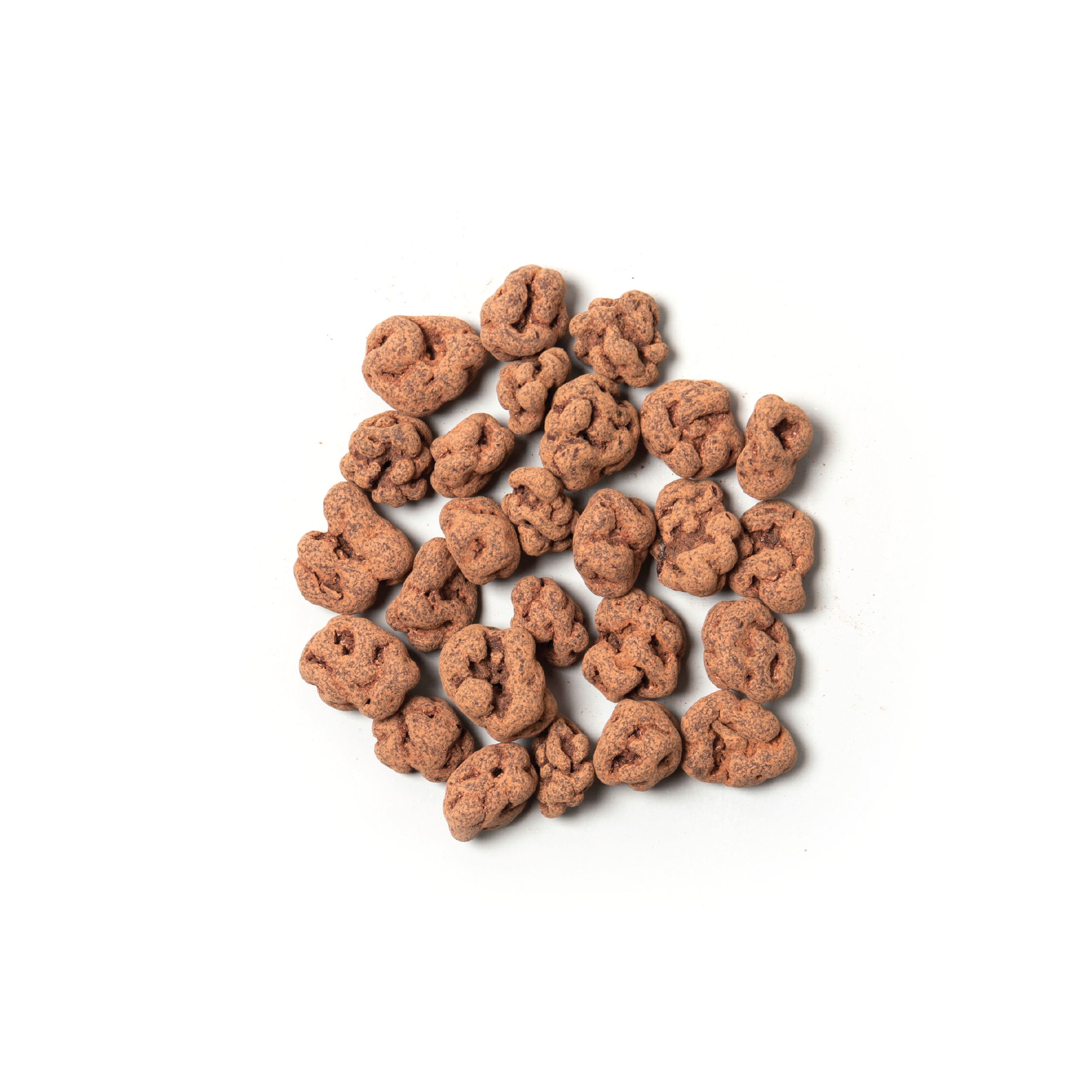 CH37 Raw Chocolate Sour Cherries 2kg