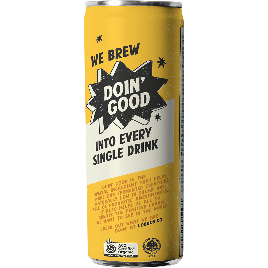 Kombucha Cans - Ginger & Lemon 250ml