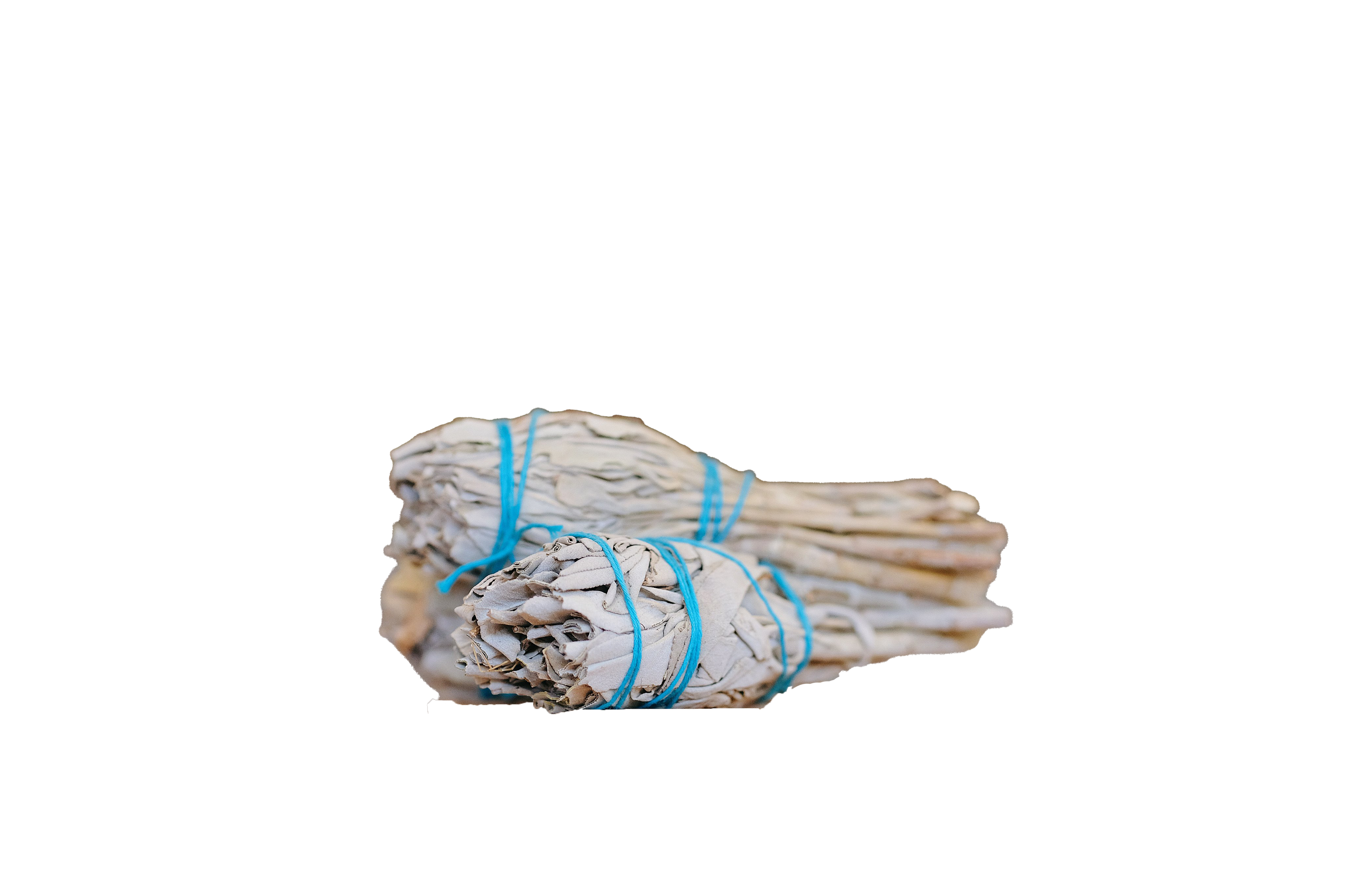 Mini Torch White Sage (sold by bundle)