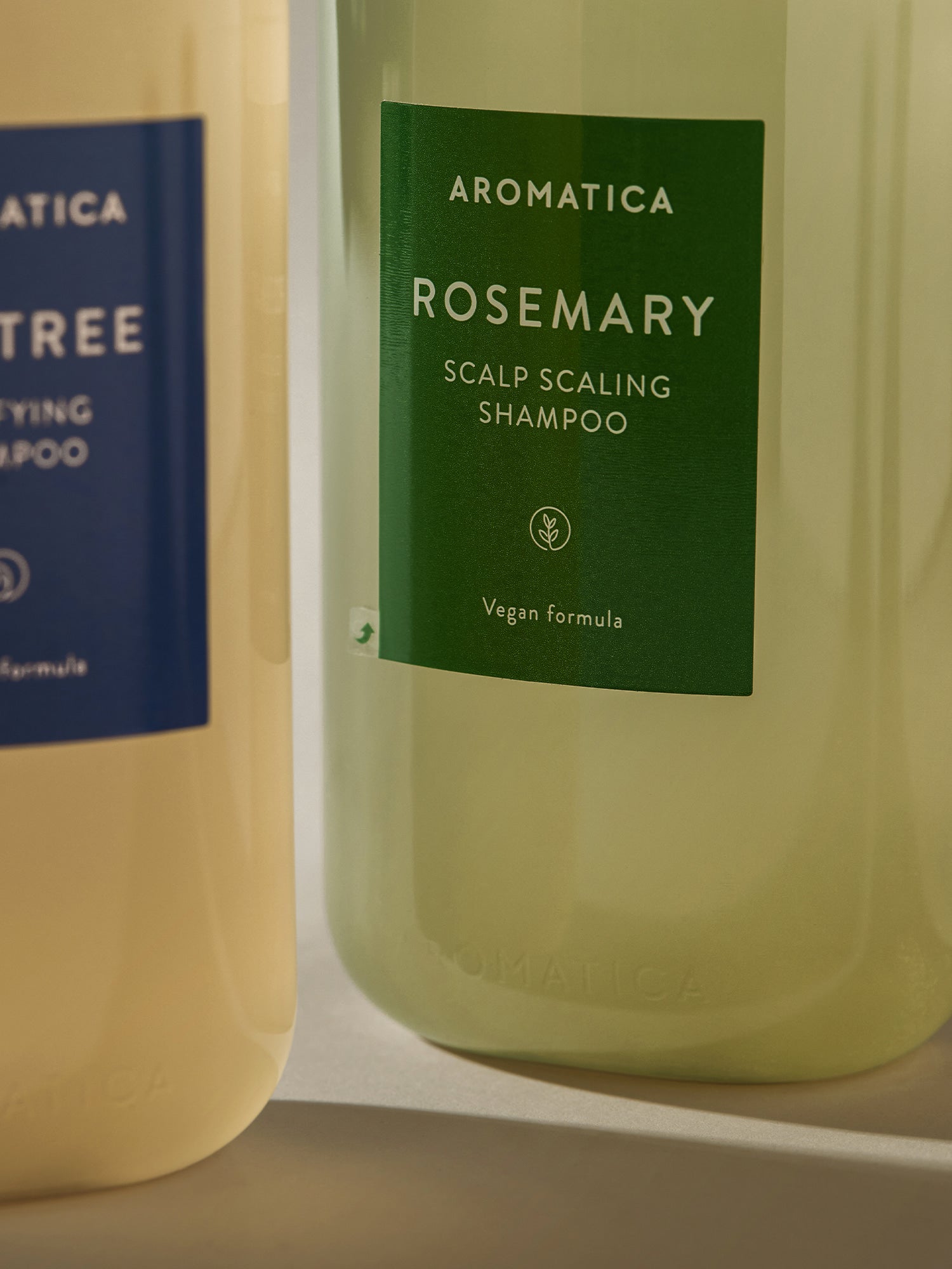 Rosemary Scalp Scaling Shampoo