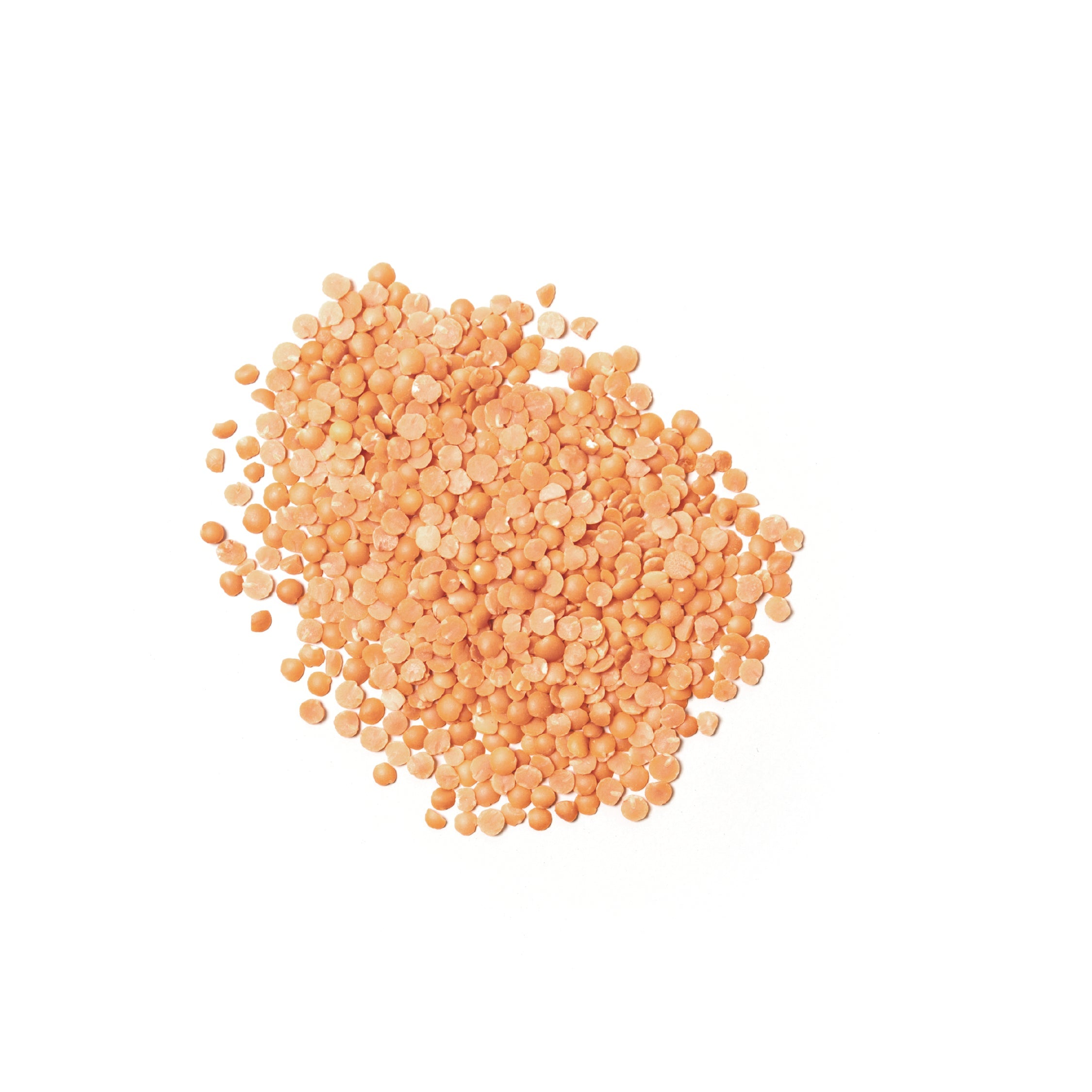 B13 Organic Red Split Lentils