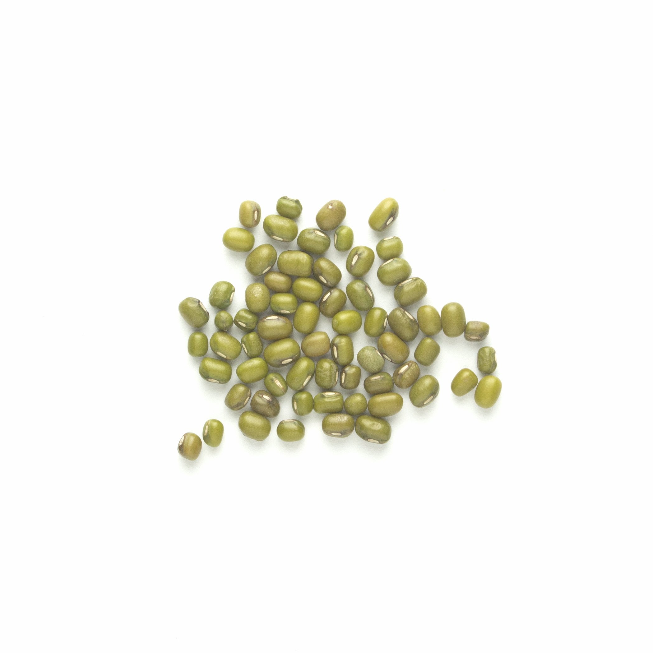 B23 Organic Mung Beans Canada