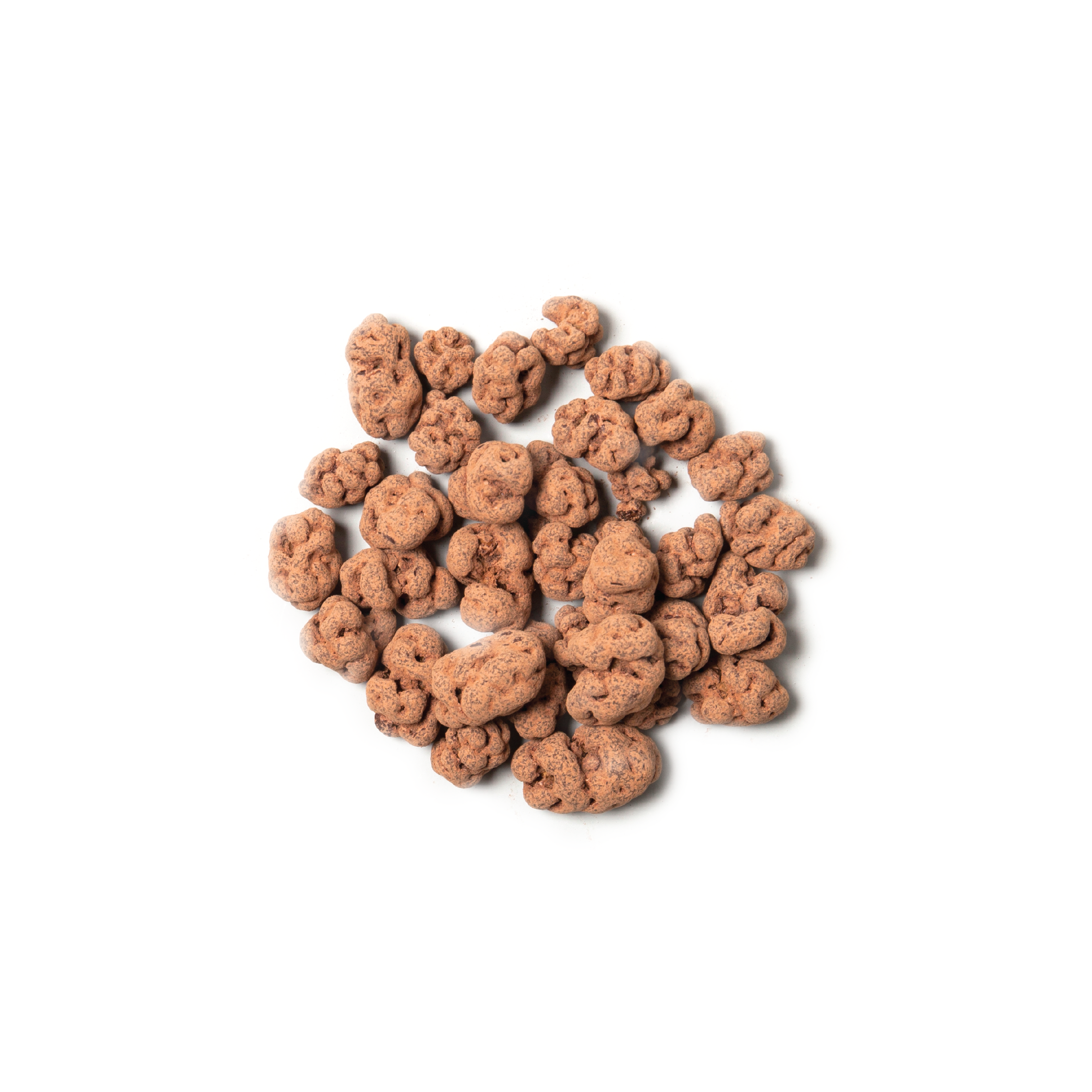 CH07 Raw Chocolate Mulberries