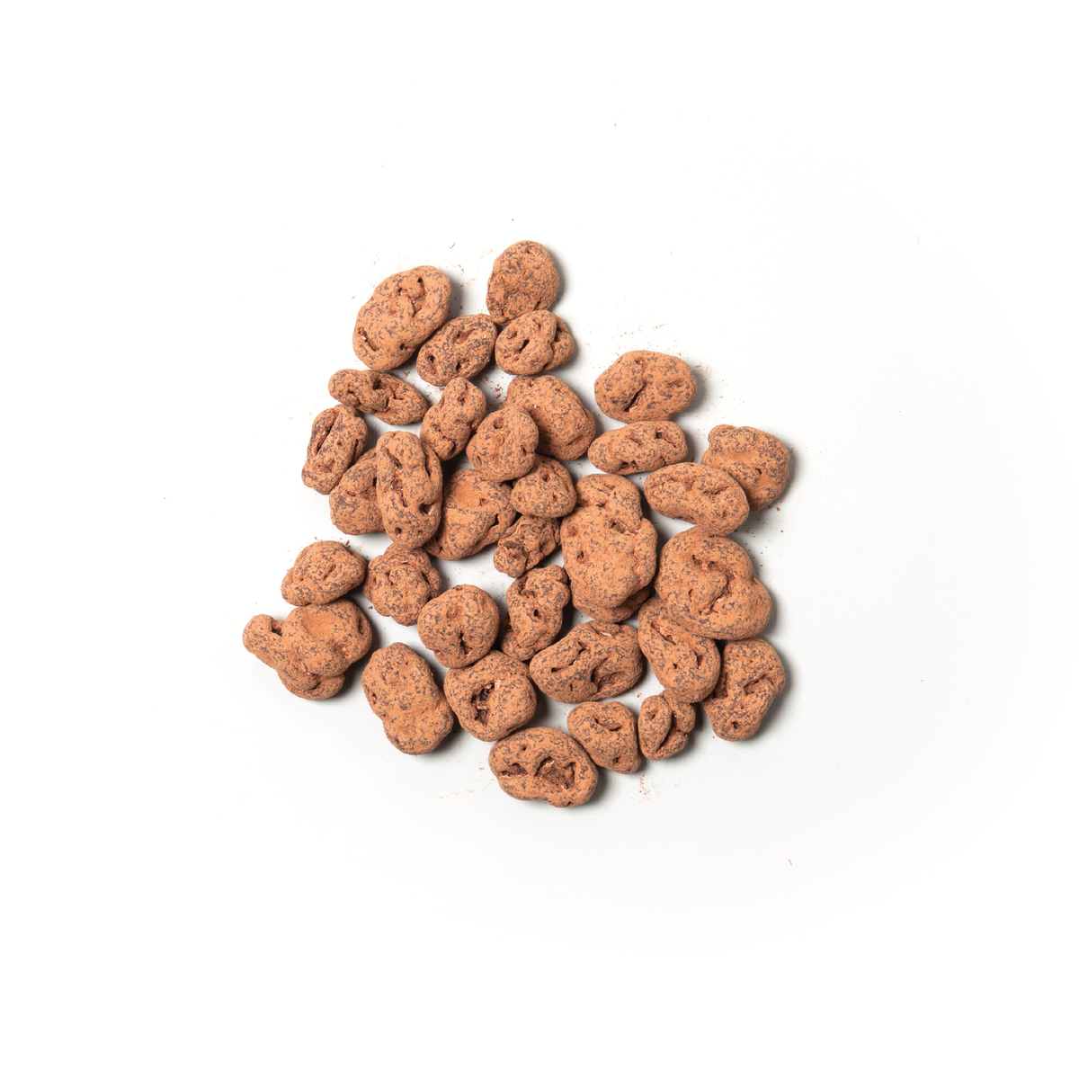 Shoco Raisins CH08 Raw Chocolate Raisins UK