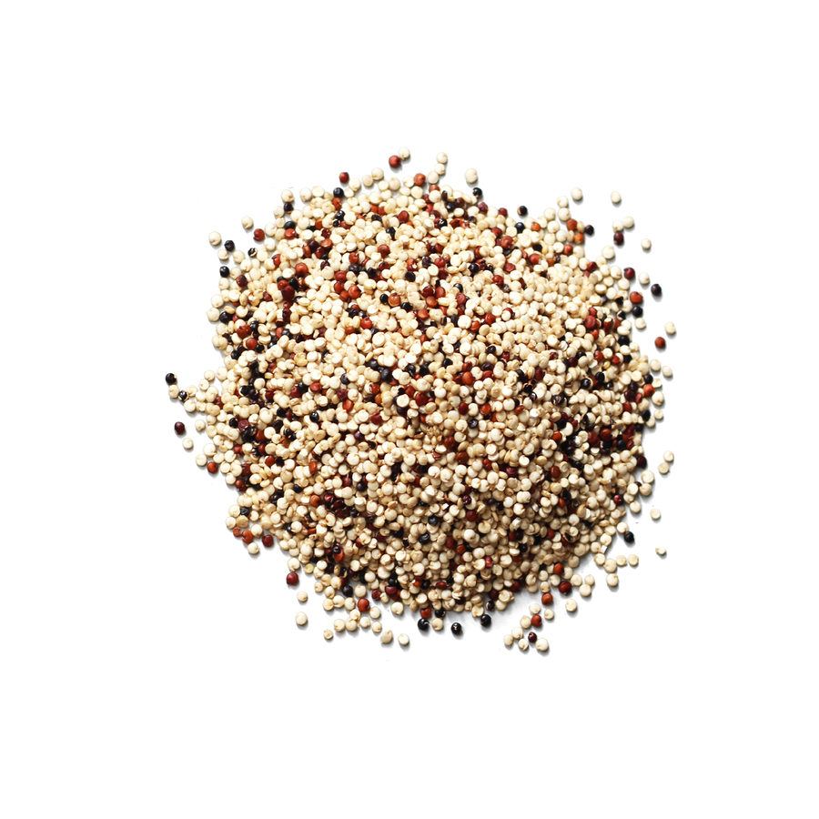 G15 OrganicTricolor Quinoa Grain