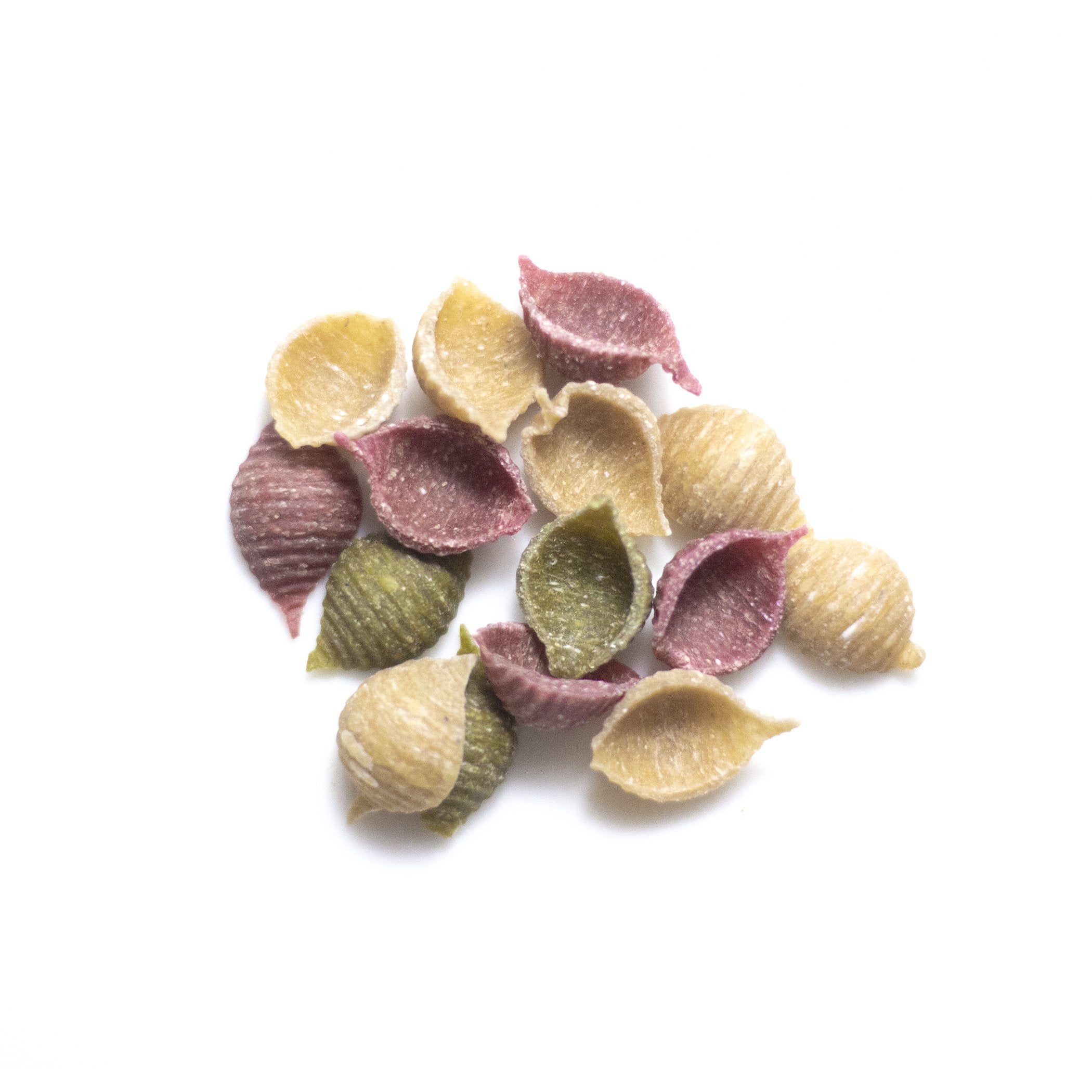 P17 Organic Vegetables Shell Pasta