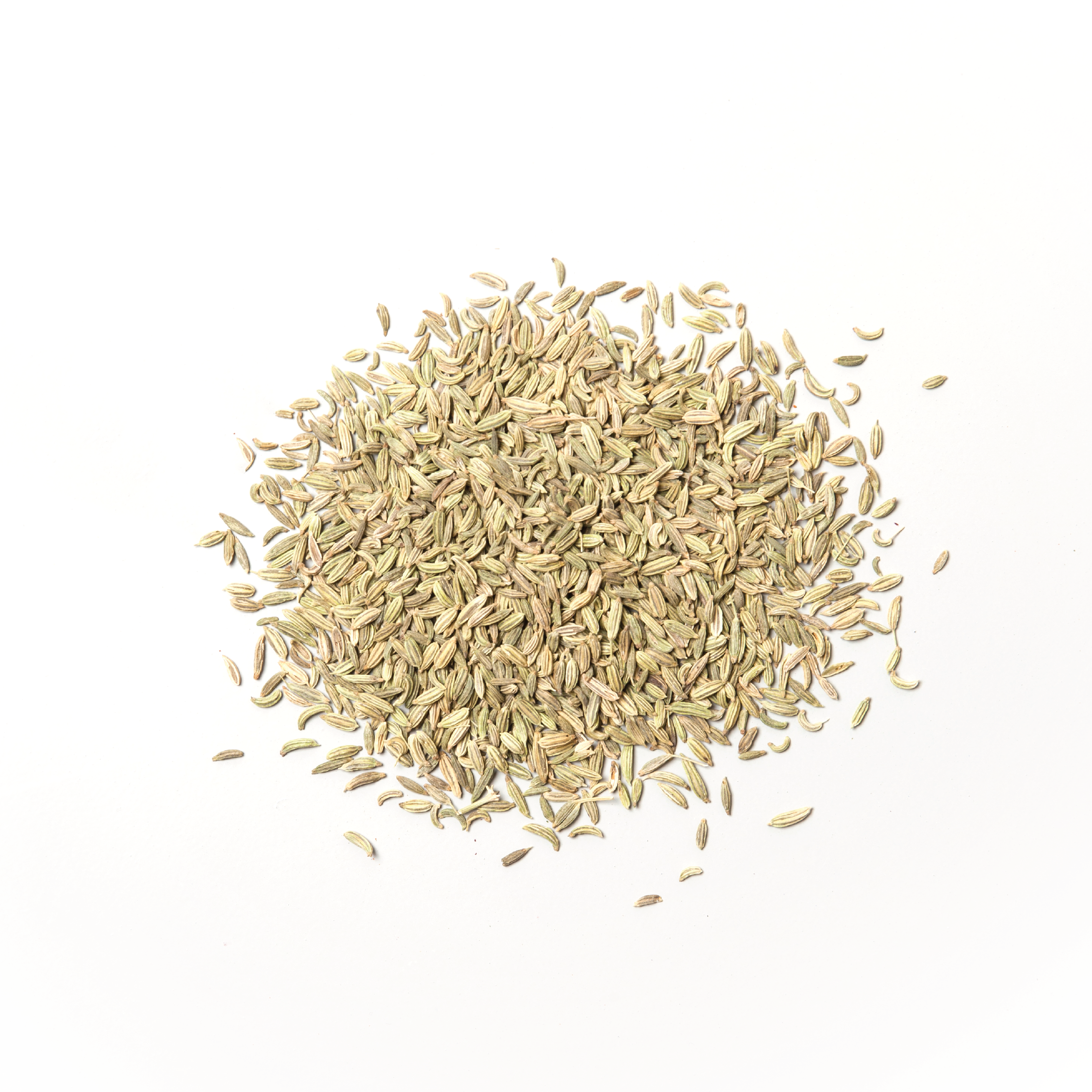 SP44 Fennel Seed (sold per g)- Pack of 1 kg